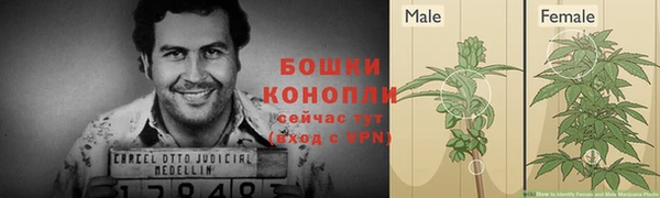 ALPHA PVP Покровск